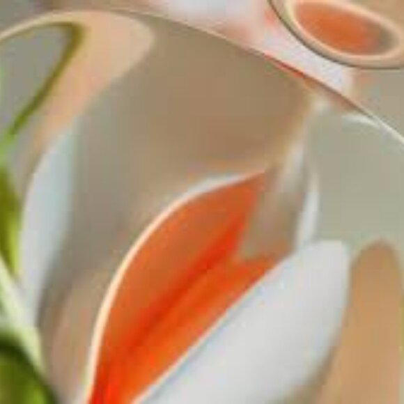 Meet your Posher, Anna - Picture 1 of 1